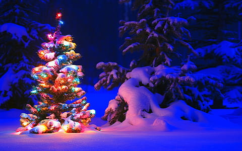 multicolored Christmas tree on white snow