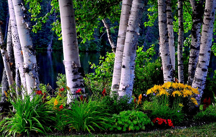 landscape photography of flowers and trees