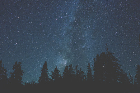 Long exposure shot of the stars in night sky at Yosemite Valley, California