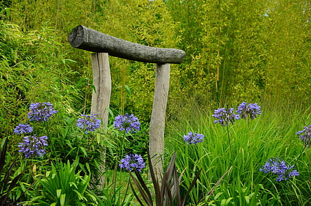 brown torii surrounded by grass and purple flowers