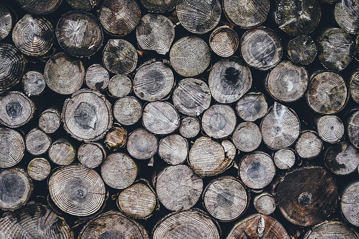 closeup photography of pile of logs