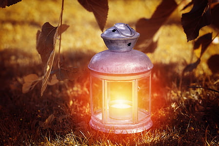 photo of gray candle lantern on green grasses
