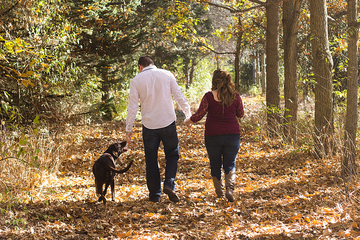 man and woman with adult black Labrador retriever walking between green leaf tree during daytime