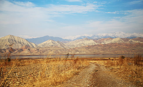 brown field facing towards mountains