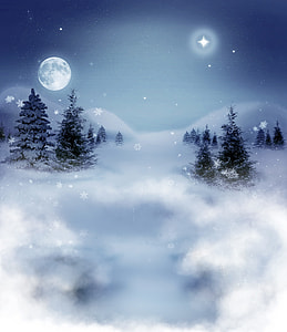 pine trees above clouds overlooking moon and star during nighttime illustration