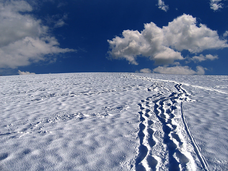 tracks on white snow