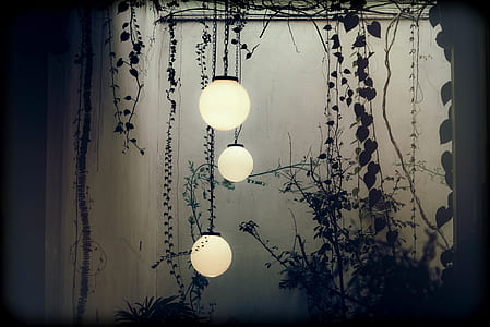 three round pendant lamps hanged under roof with silhouette of vines