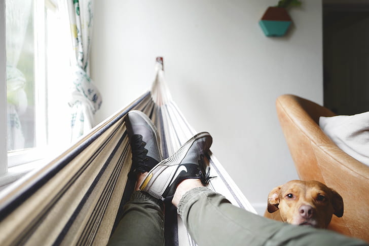 selective focus photography of person wearing sneakers lying on hammock