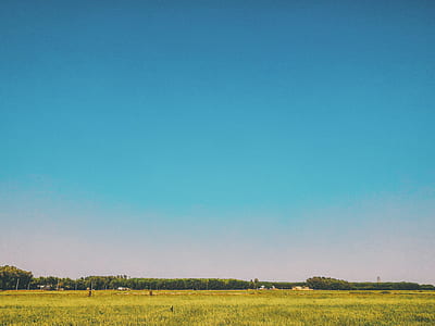 Grass Field Under Blue Sky at Daytime