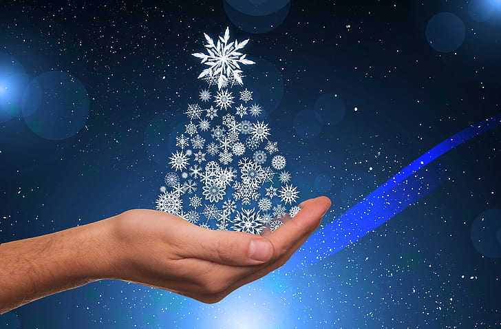 person holding snowflake tree wallpaper