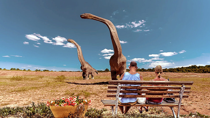 person sitting on brown bench with brontosaurus