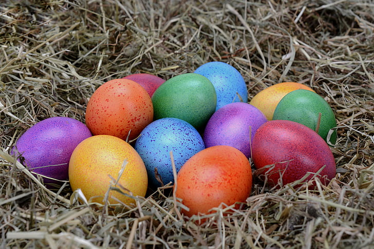 assorted Easter eggs on nest