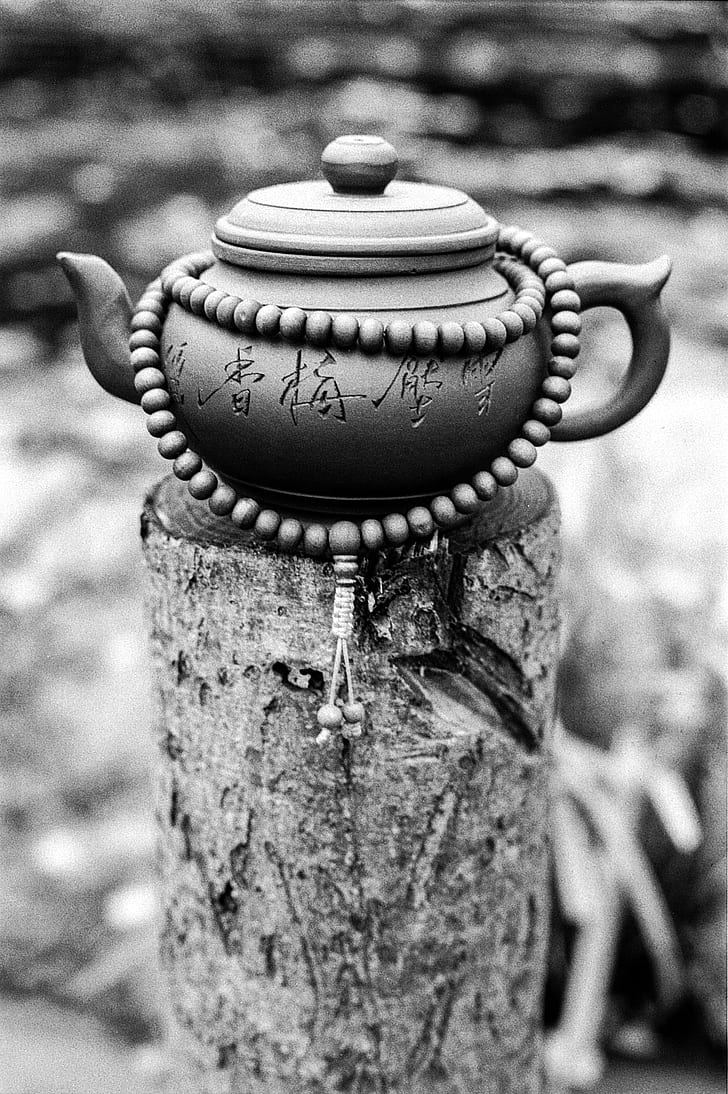 gray teapot on gray tree log