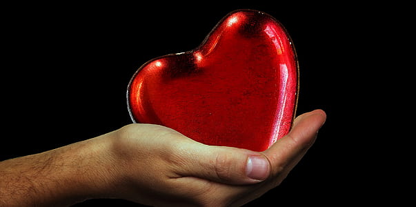 person holding heart-shaped red case