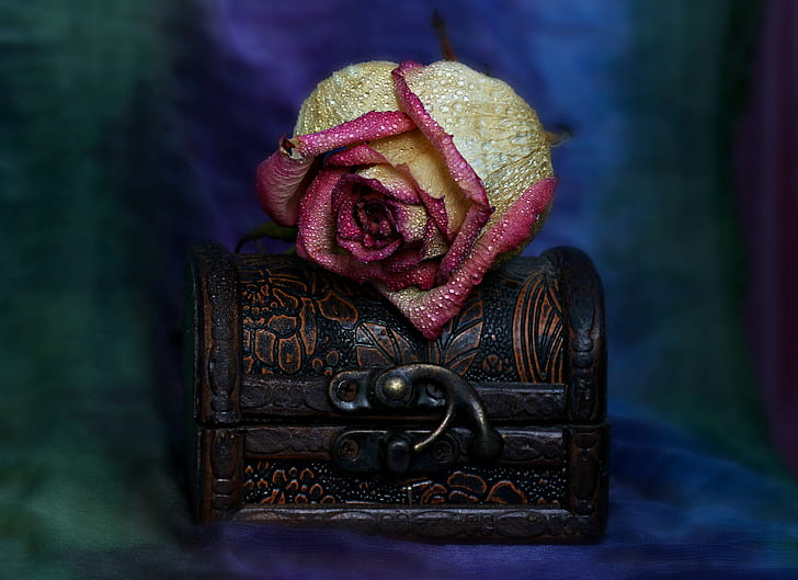 brown and pink rose on wooden chest