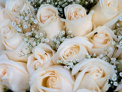 close-up photo of bouquet of white rose