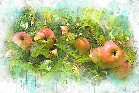 bunch of red apple fruit painting