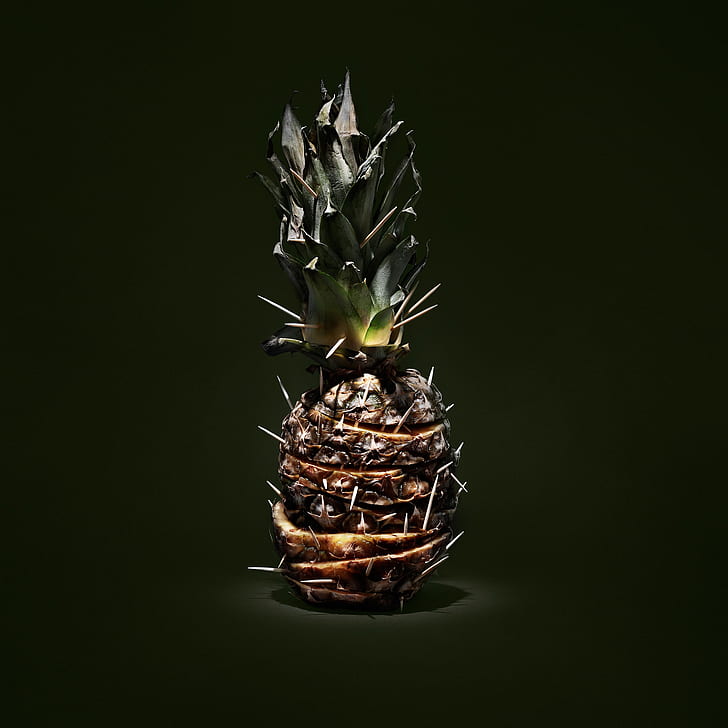 photography of brown pineapple