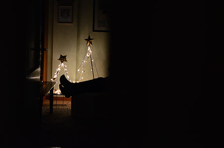 photo of two christmas tree with 5-pointed star finial and string lights