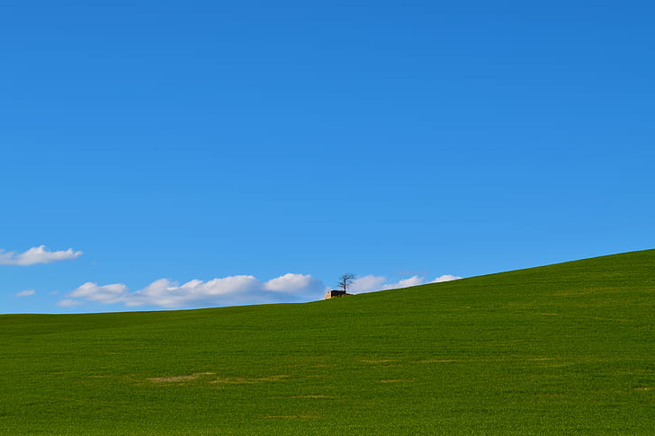 green grassfield with brown house in the middle under blue sky