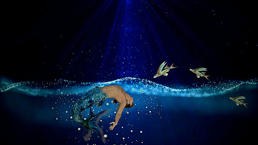 mermaid in body of water near flying fish painting