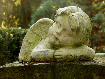cherub statue near green plant photo