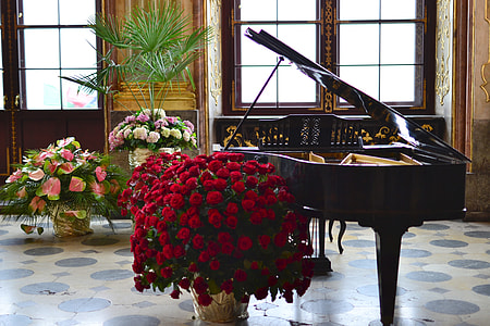 red chrysanthemum flowers beside grand piano