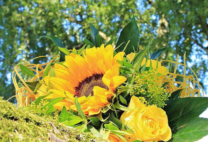 photography of Sunflower and yellow Peony flowers