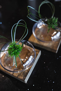 Little grass bundle with a ribbon in a glass jar