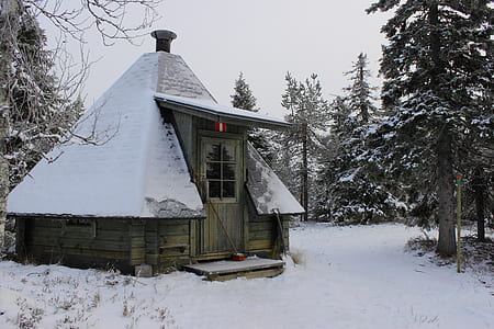 closeup photo of snow covered house near pine tree