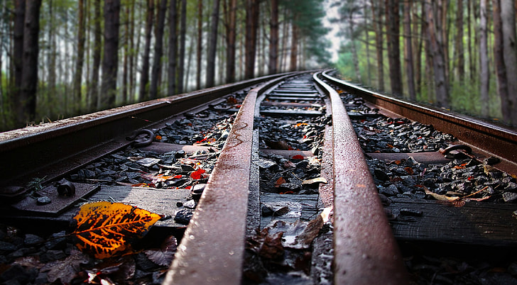 train railway photograph