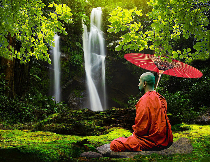 meditating monk near green leaf tree