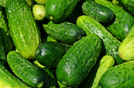 bunch of green cucumbers