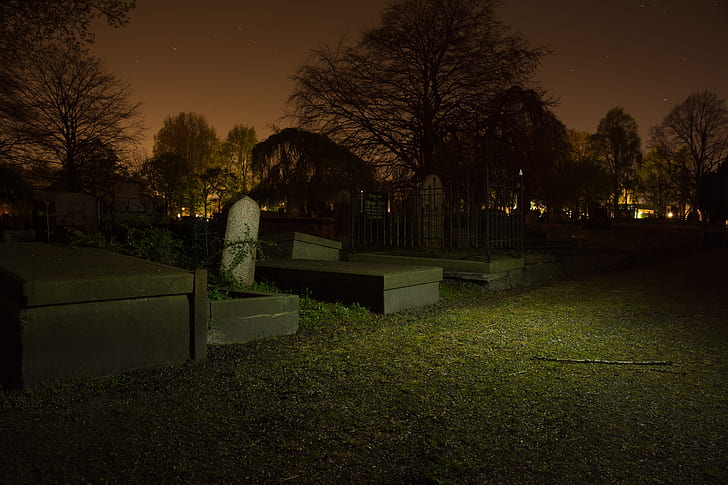 graveyard, graves, tree, spooky, night, tombstones