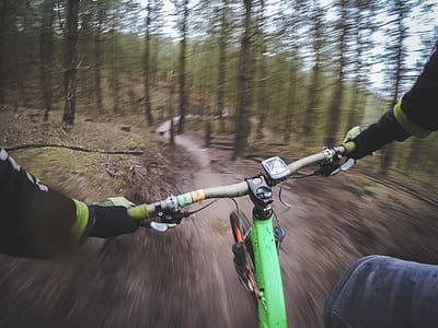 green mountain bicycle passing in the forest