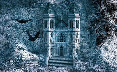 illustration of castle and black bird