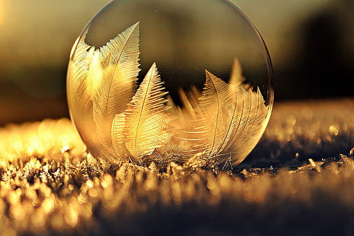 closeup photo of glass sphere