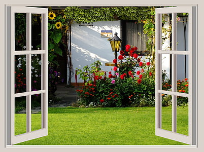 two white wooden framed and clear glass 6-lite pane windows