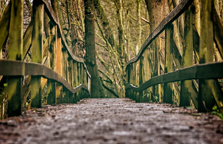 green and brown wooden bridge under trees at daytime