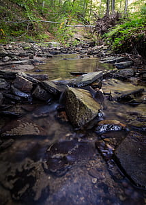 Time Lapse Photo of Stream on Green Forest