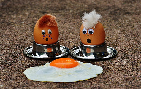 two brown poultry eggs on gray egg stand facing sunny side-up fried egg