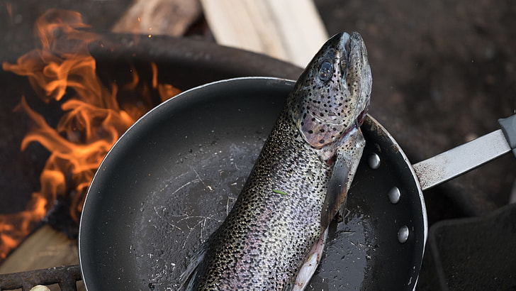 salmon on frying pan