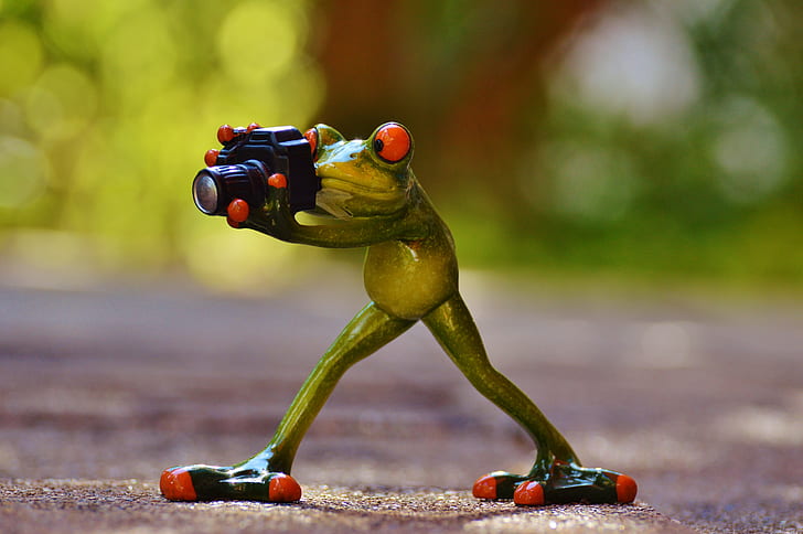 treefrog holding DSLR camera taking a photo closeup photography