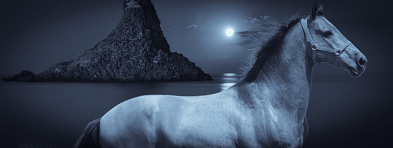 grayscale photo of horse during full moon