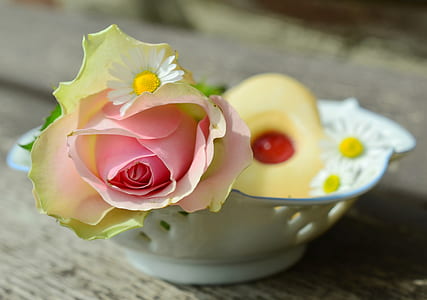 flower in bowl