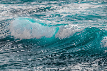 photography of sea waves