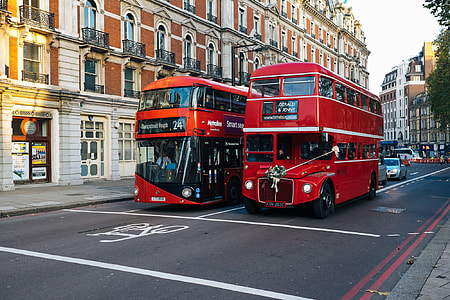 landscape photography of two double decker bus on road