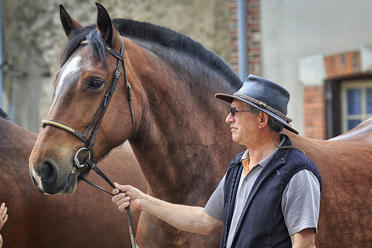 Royalty-Free photo: Man wearing black vest beside brown horse