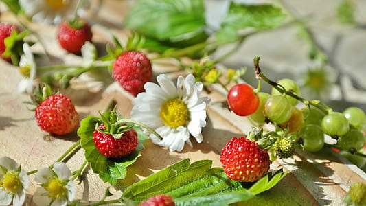 red strawberry beside white daisy