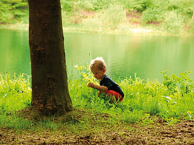 boy sitting on green grass in front of tree near body of water